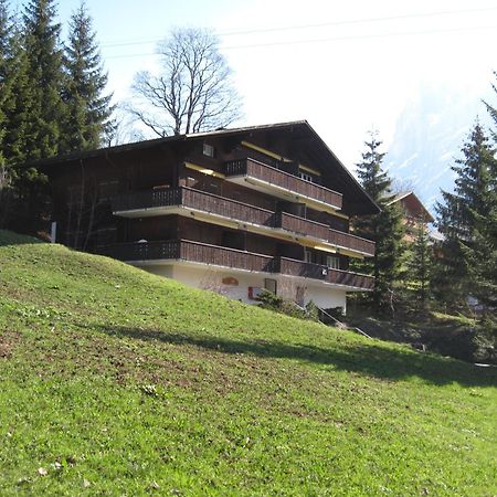 Superior Apartment 100M2 Bodmisonne - Grindelwald Luaran gambar