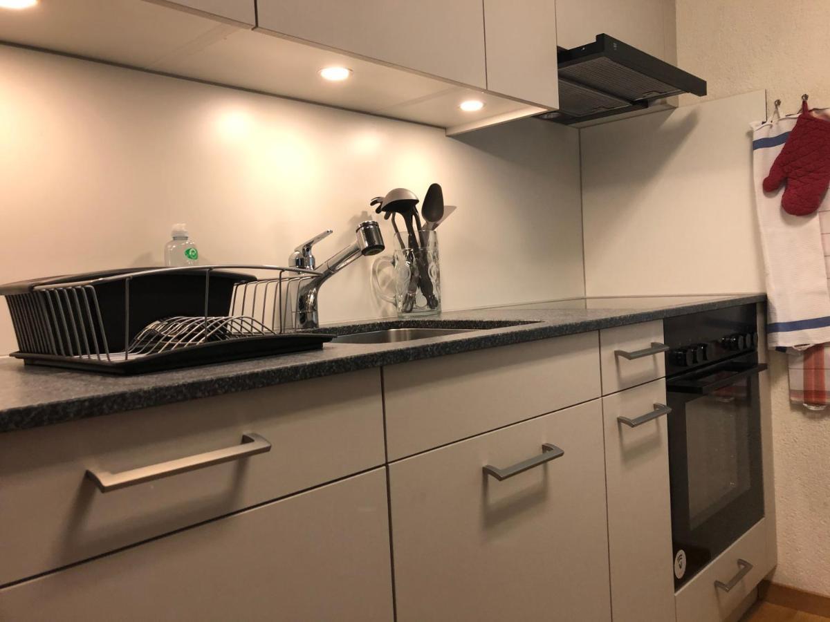 Superior Apartment 100M2 Bodmisonne - Grindelwald Luaran gambar