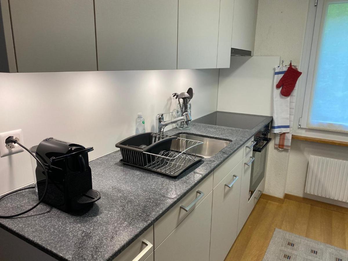 Superior Apartment 100M2 Bodmisonne - Grindelwald Luaran gambar