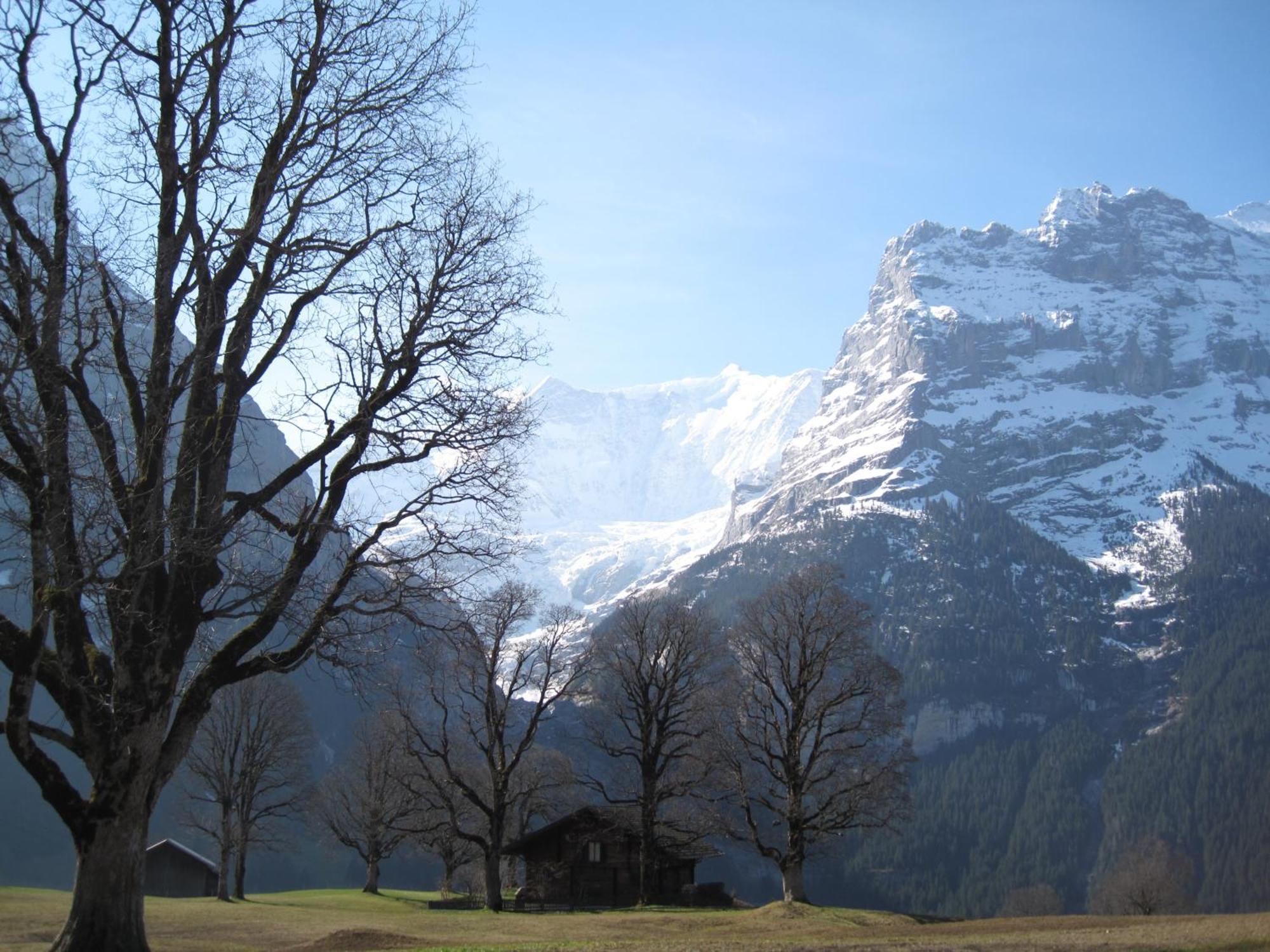 Superior Apartment 100M2 Bodmisonne - Grindelwald Luaran gambar