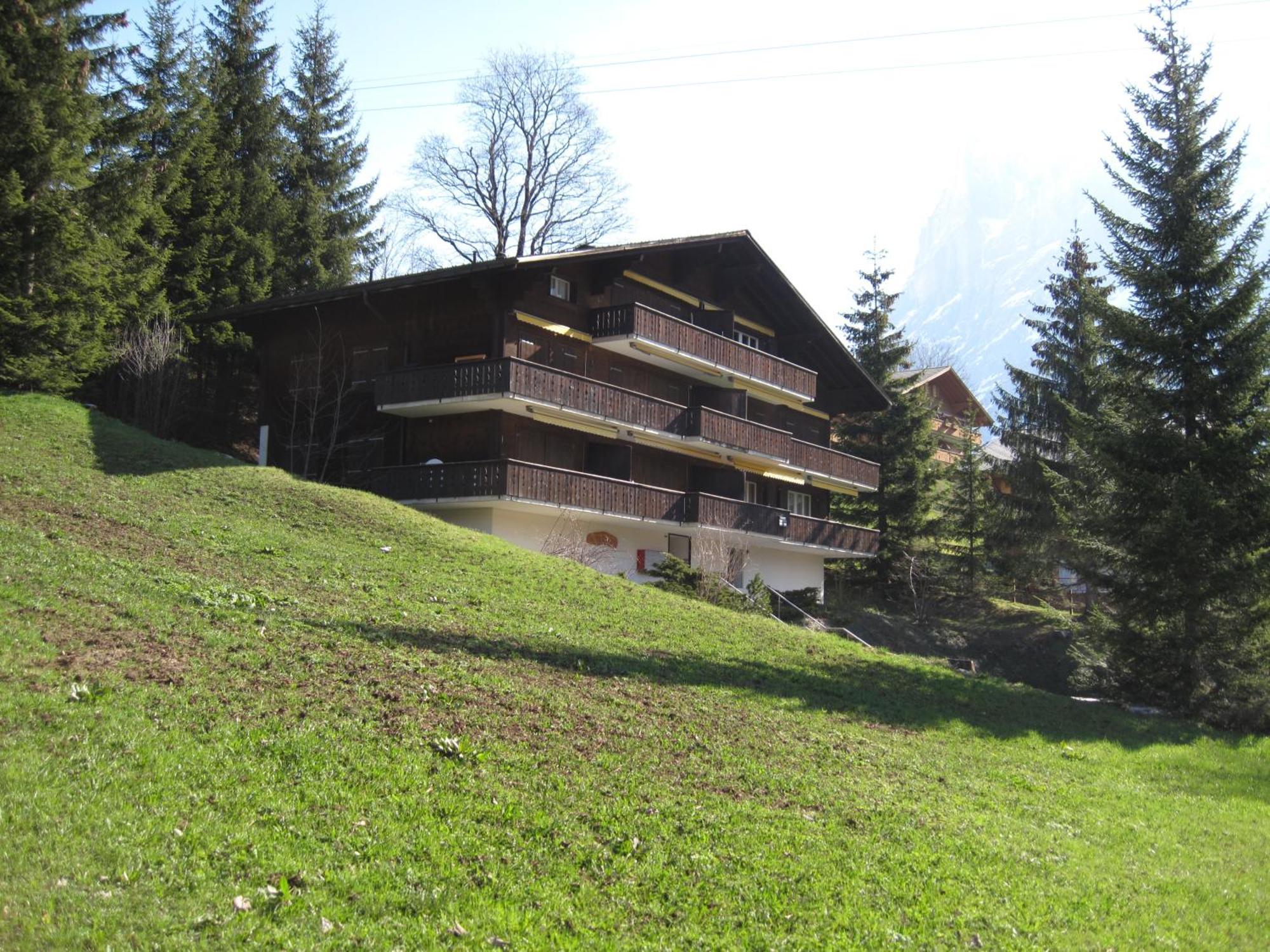 Superior Apartment 100M2 Bodmisonne - Grindelwald Luaran gambar