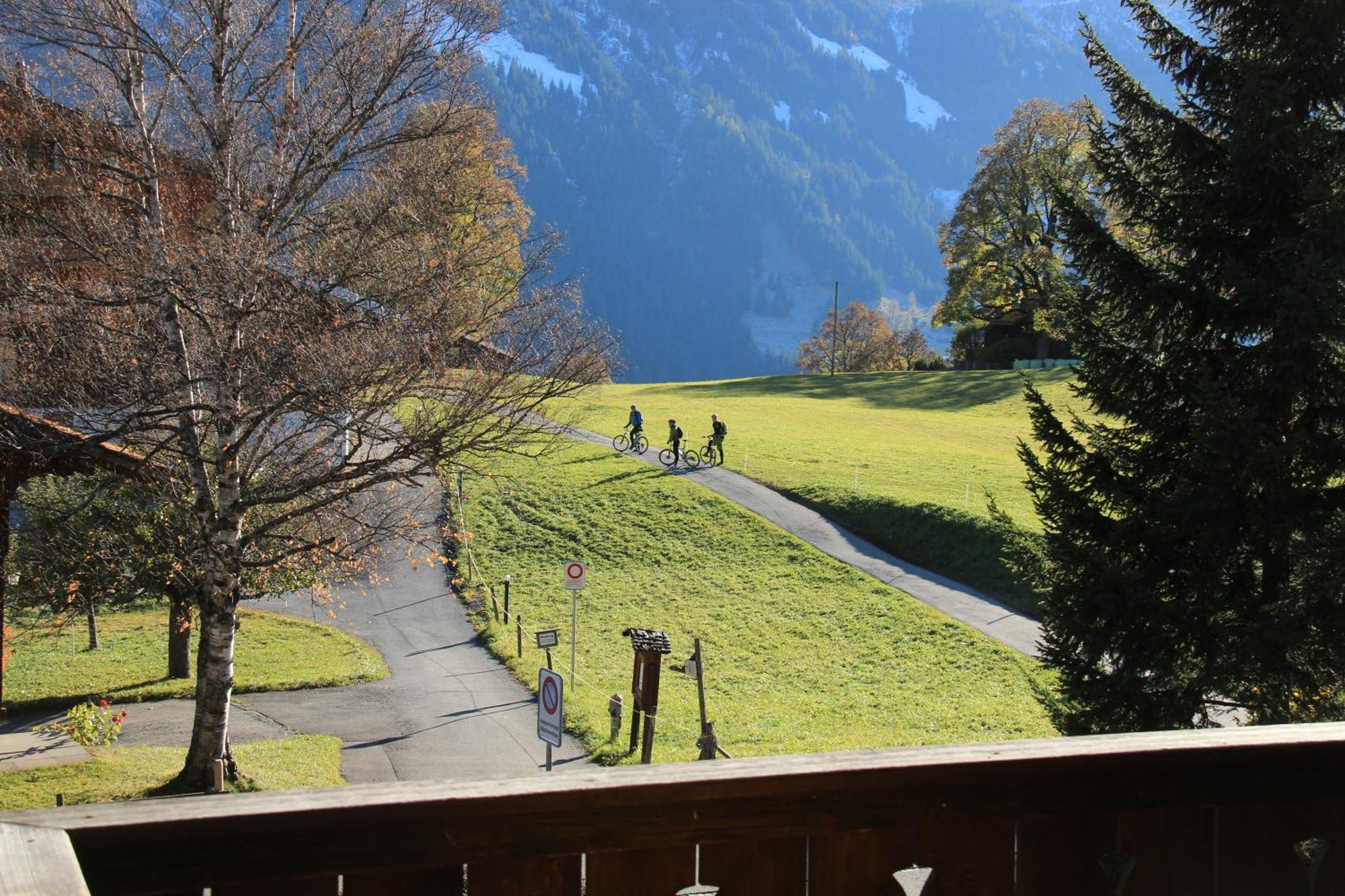 Superior Apartment 100M2 Bodmisonne - Grindelwald Luaran gambar