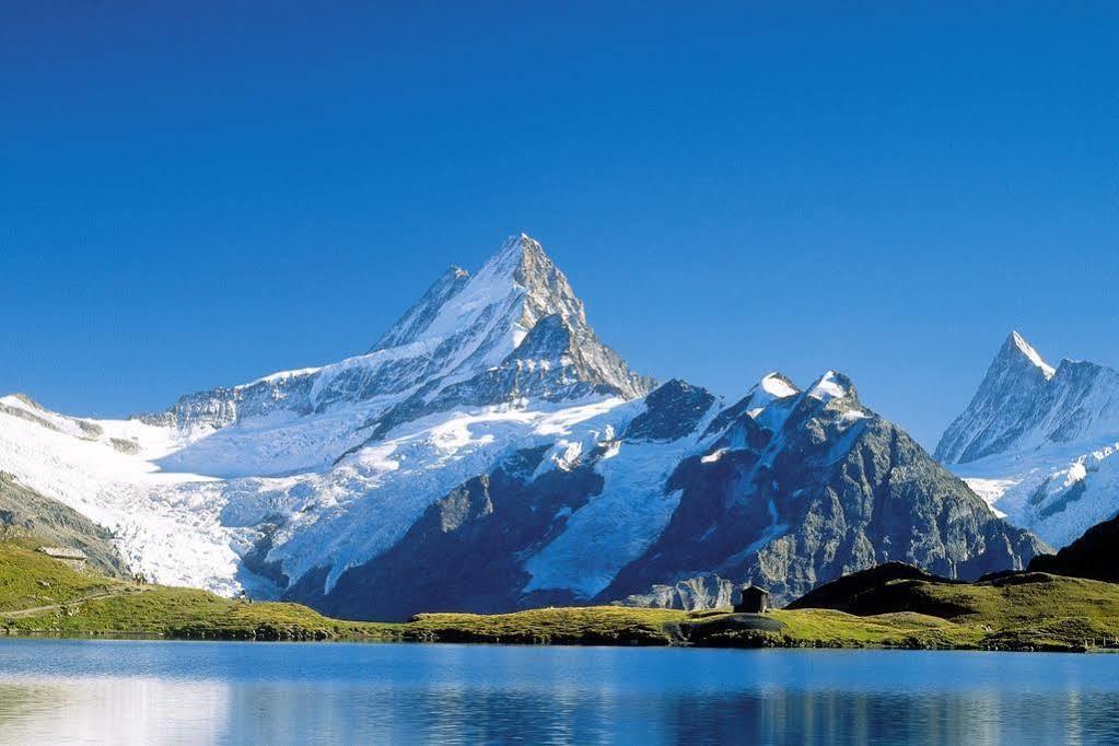 Superior Apartment 100M2 Bodmisonne - Grindelwald Luaran gambar